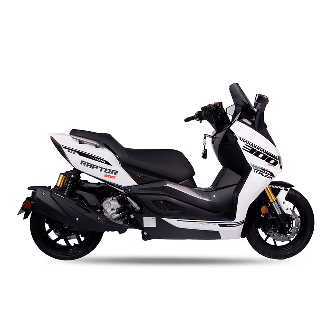 RAPTOR 300