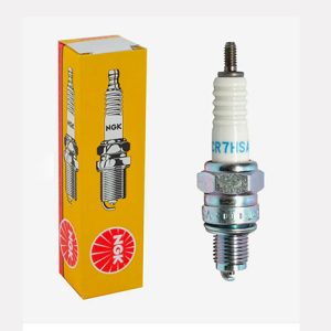 Spark Plugs